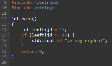 C++ if voorbeeld