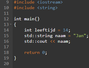 C++ variabelen